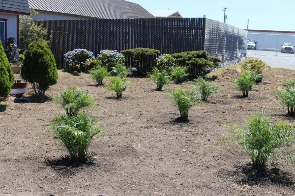 Westward Inn image 17